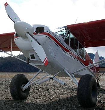 STC/stc_pic/aviat_husky_a1_1.jpg